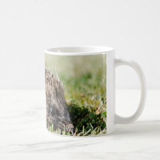 De Café Caneca do ouriço