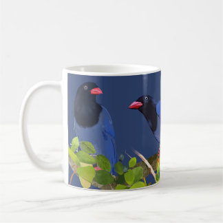 De Café Caneca do Pega-Rabo Azul