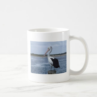 De Café Caneca do pelicano