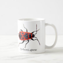 Caneca do Percevejo