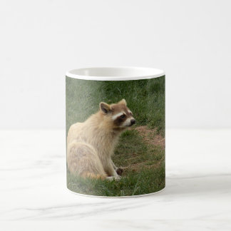 De Café Caneca do Racoon