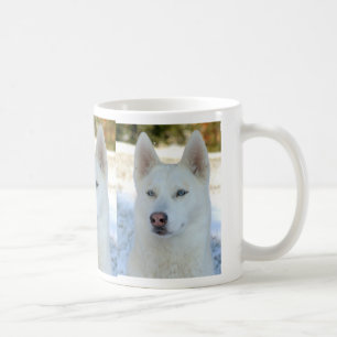 De Café Caneca do rouco Siberian