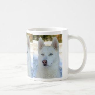 De Café Caneca do rouco Siberian