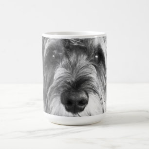 De Café Caneca do Schnauzer