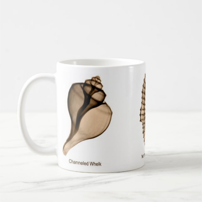 De Café Caneca do Seashell do raio X com pústula, cavalo (Esquerda)
