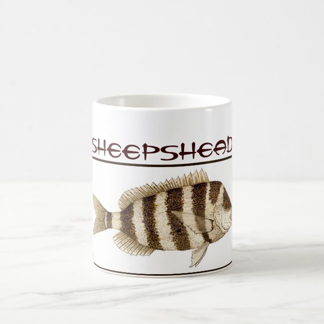 De Café Caneca do Sheepshead (Centro)