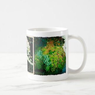 De Café Caneca do Succulent