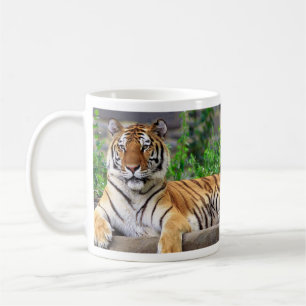 De Café Caneca do tigre Siberian