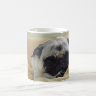 De Café Caneca doce do Pug