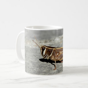 De Café Caneca Dois-Listrada do inseto do gafanhoto