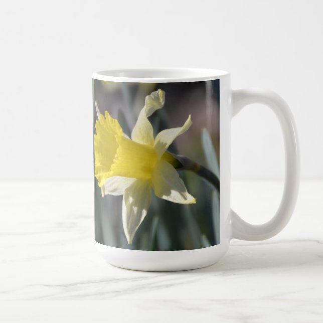 De Café Caneca dos Daffodils (Direita)