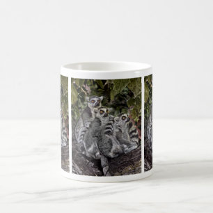De Café Caneca dos Lemurs em seguido