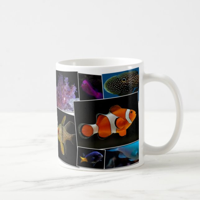 De Café Caneca dos peixes do aquário da água salgada - (Direita)