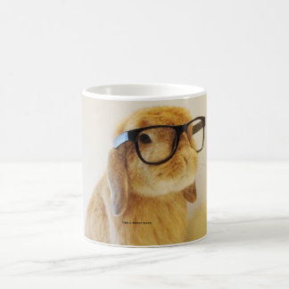 De Café Caneca esperta do coelho