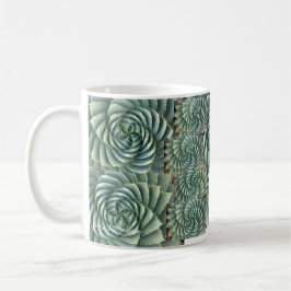 De Café Caneca espiral do Succulent do aloés