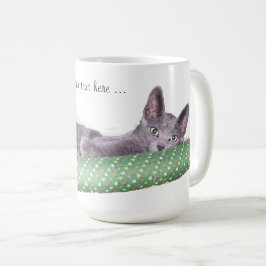 De Café Caneca - gatinho Russian Blue