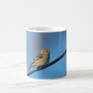 De Café Caneca Goldfinch