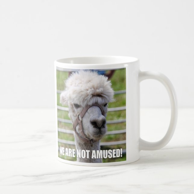 De Café Caneca irritada da alpaca (Direita)