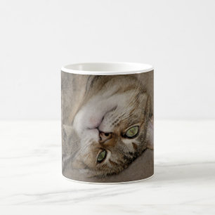 De Café Caneca Kitty Fofa