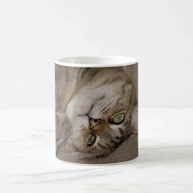 De Café Caneca Kitty Fofa (Centro)