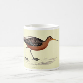 De Café Caneca - limosa atada bar