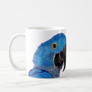 De Café Caneca - Macaw do jacinto