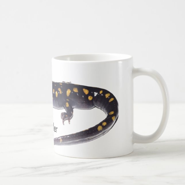 De Café Caneca manchada da salamandra (Direita)