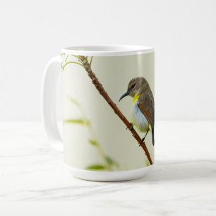 De Café Caneca Natureza Pássaro