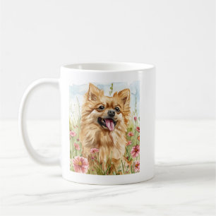 De Café Caneca Pomerânia
