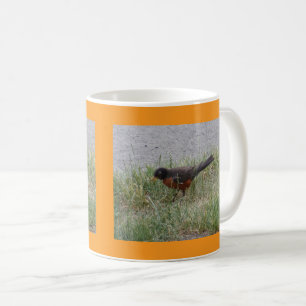 De Café Caneca Robin na Grama