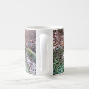 De Café Caneca Rocha Musgosa