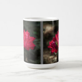 De Café Caneca Rosa Vermelha