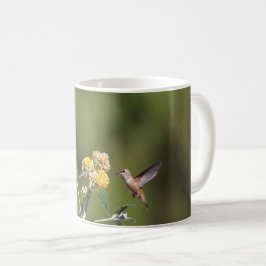 De Café Caneca Rufous do colibri