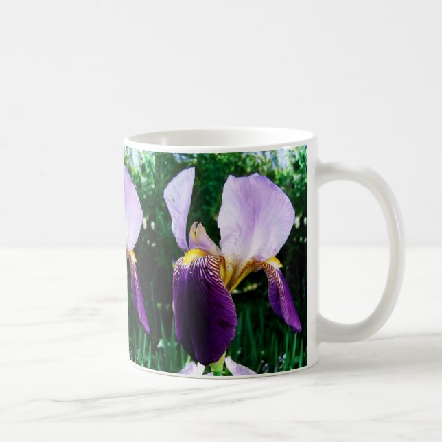 De Café Caneca selvagem da foto da íris (Direita)