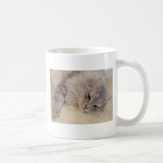 De Café Caneca Siberian do gato