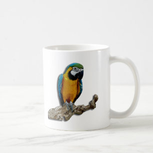 De Café Caneca sozinha do papagaio alaranjado