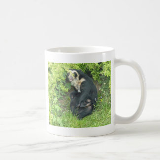 De Café Caneca Spectacled do urso, coleção dos animais