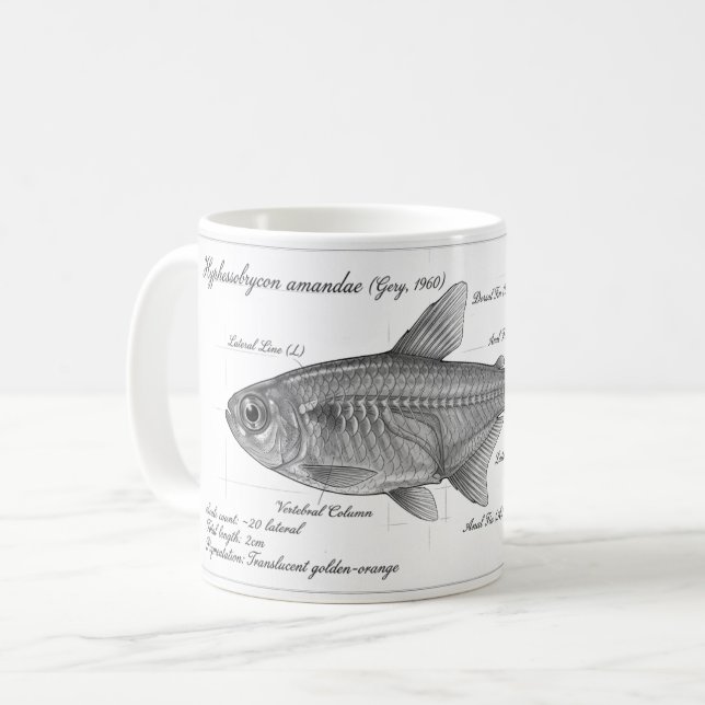 De Café Caneca - Tetra Ember (Frente Esquerda)