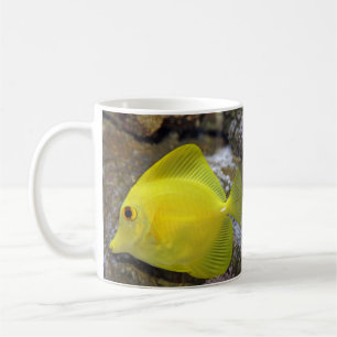 De Café caneca tropical dos peixes