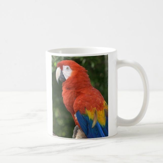 De Café Caneca vermelha do Macaw (Direita)