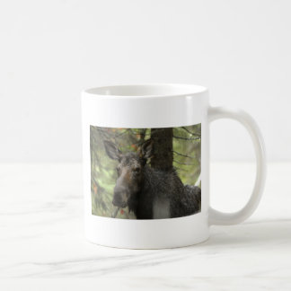 De Café Caneca Woodsy dos alces
