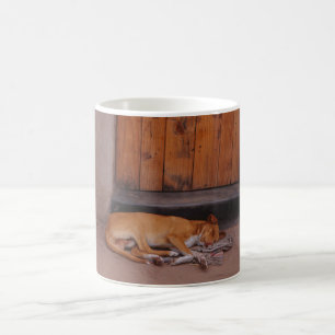 De Café Cão no Resto da Caneca