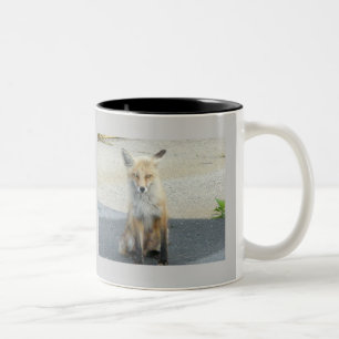 De Café Em Dois Tons 11 Oz. Caneca
