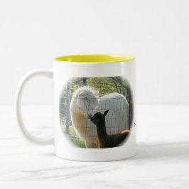 De Café Em Dois Tons A alpaca beija a caneca
