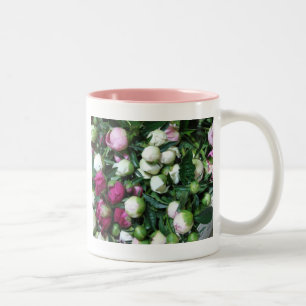 De Café Em Dois Tons A peônia cor-de-rosa e branca brota a caneca