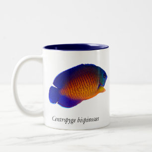 De Café Em Dois Tons Angelfish coral da beleza - caneca do bispinosus