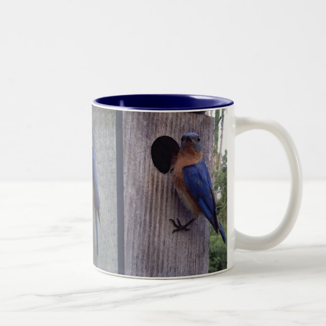 De Café Em Dois Tons Bluebirds na caneca da caixa (Direita)