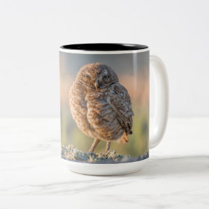 De Café Em Dois Tons Burrowing a grande caneca da coruja