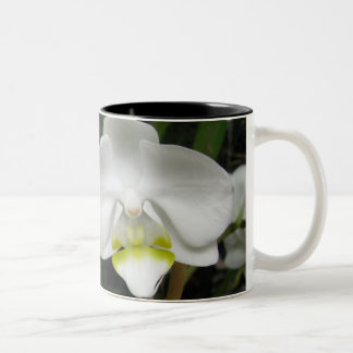 De Café Em Dois Tons Caneca 2 da orquídea