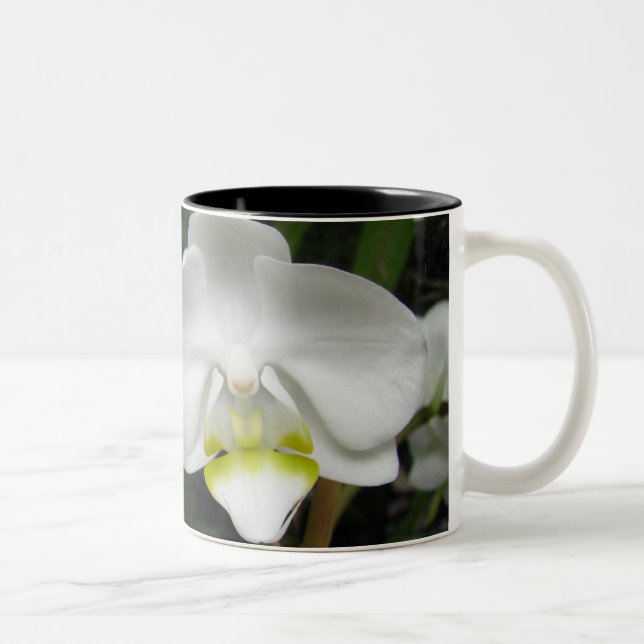 De Café Em Dois Tons Caneca 2 da orquídea (Direita)